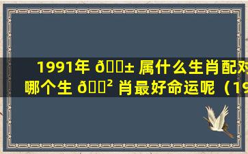 1991年 🐱 属什么生肖配对哪个生 🌲 肖最好命运呢（1991年属什么生肖配对哪个生肖最好命运呢女孩）